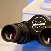 focus6